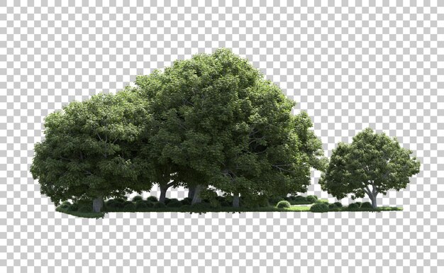 PSD floresta verde isolada no fundo ilustração de renderização 3d