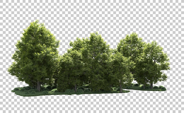 PSD floresta verde isolada no fundo ilustração de renderização 3d