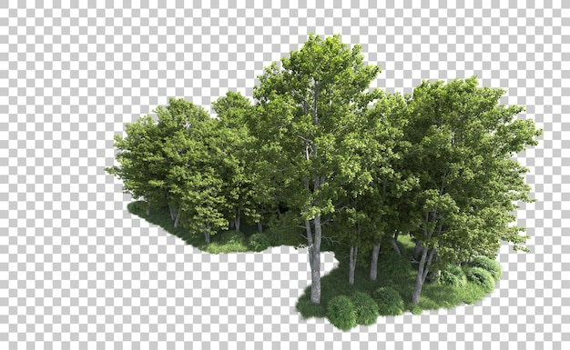 Floresta verde isolada no fundo ilustração de renderização 3d