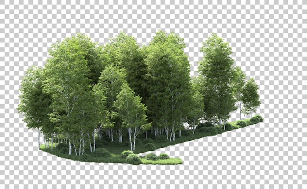 PSD floresta verde isolada no fundo ilustração de renderização 3d