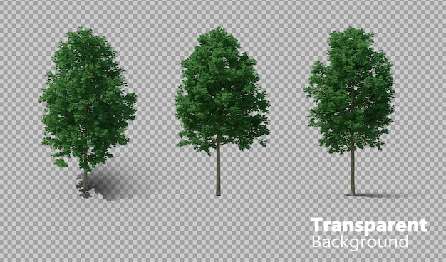 Flugzeugbaum auf durchsichtigem Hintergrund