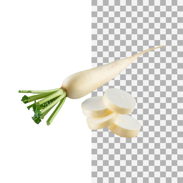 PSD flutuando de daikon branco com sabor suave sem fundo transparente isolado de sombra