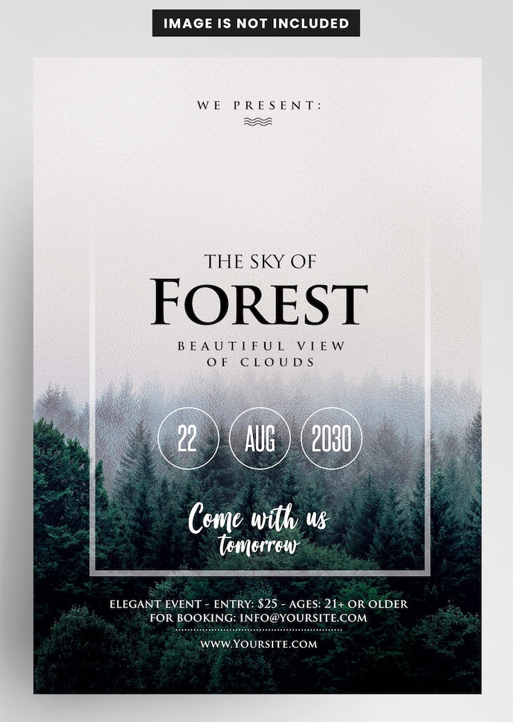 PSD flyer après la fête du sky forest clean festival