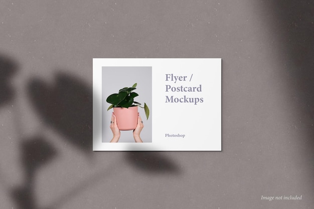 Flyer e cartão postal Mockup Front View