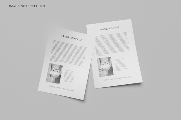 Flyer Mockup Design