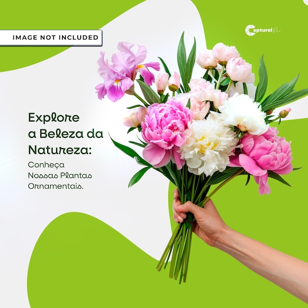 Flyer ou Post para Jardinagem Plantas Floricultura Jardim encantado dos Sonhos Natureza (Flieger für Gartenpflanzen und Florikultur)