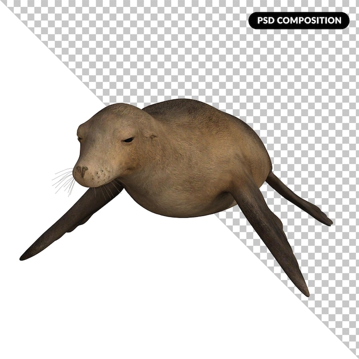 PSD foca animal aislado render 3d