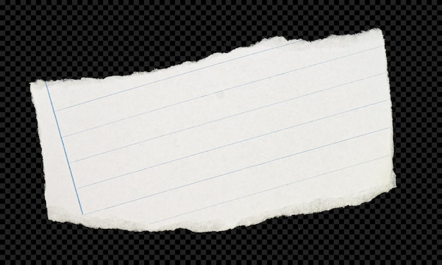 Fogli di carta strappati