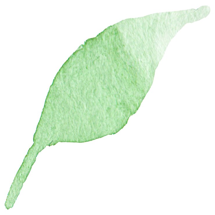 Foglia di fiore dipinta ad acquerello Elemento di design di fiore disegnato a mano isolato su uno sfondo trasparente