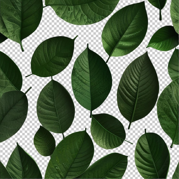 Foglia verde 3D su sfondo bianco