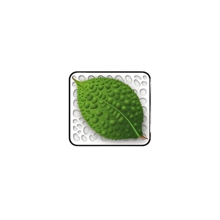 PSD foglia verde con gocce d'acqua su sfondo bianco