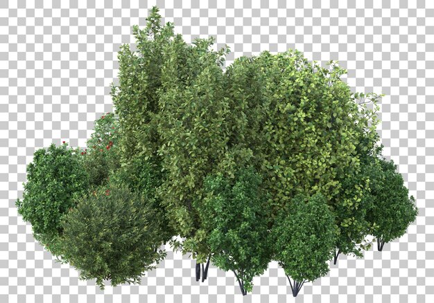 Fogliame con sfondo trasparente 3d rendering illustrazione