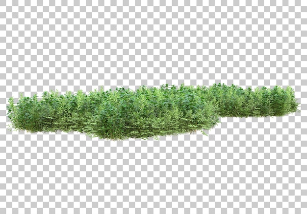 Fogliame su sfondo trasparente 3d rendering illustrazione