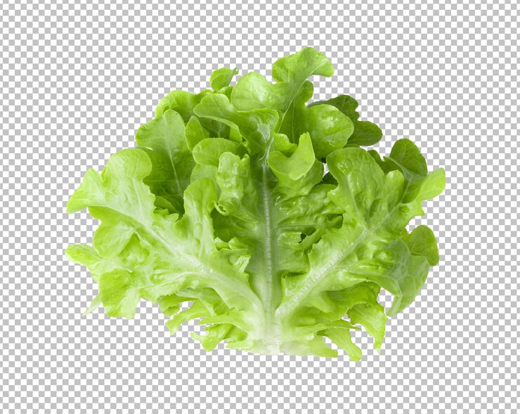 PSD foglie di insalata di lattuga verde fresca isolate su strato alfa