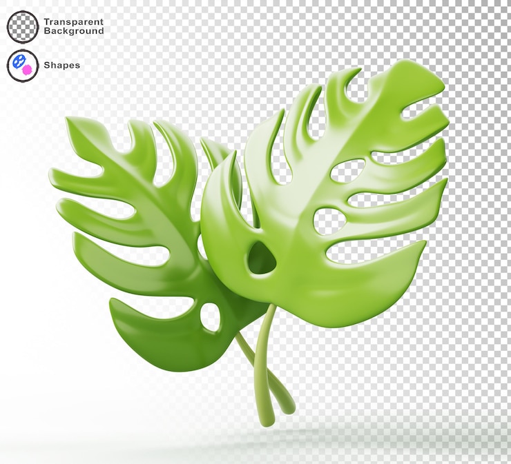PSD foglie di monstera verde tropicale icona di rendering 3d rami di piante esotiche liana sempreverde fogliame o filodendro isolato su sfondo bianco elemento di design decorativo estivo realistico