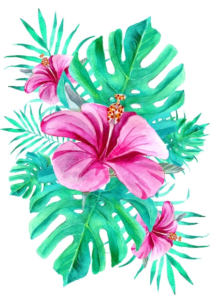 foglie tropicali dell'acquerello