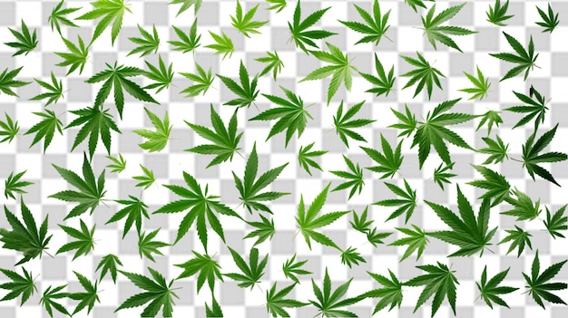 Folha de cannabis png