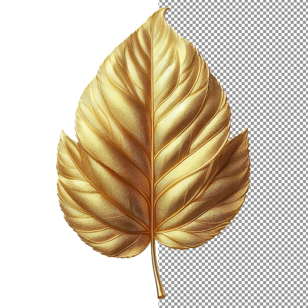 PSD folha de ouro de graça dourada isolada em uma paleta png clara