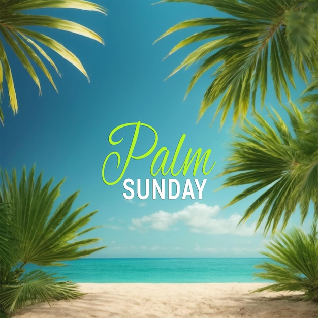 PSD folha de palmeira de fundo palmeira domingo mídia social instagram modelo de postagem