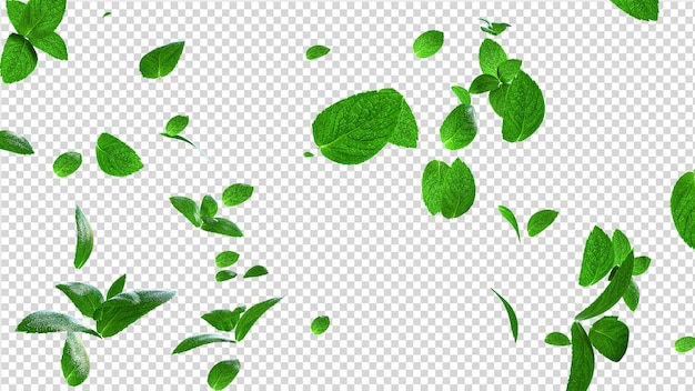 Folhas de hortelã refrescantes sobrepostas a voar
