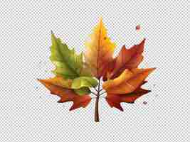 PSD folhas de outono na árvore em fundo transparente