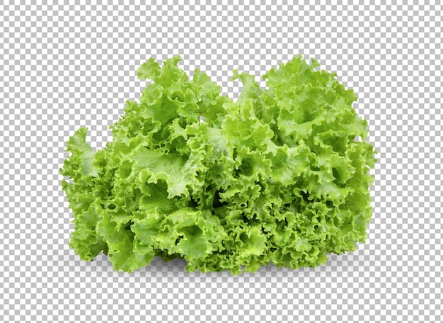 Folhas de salada de alface isoladas na camada alfa
