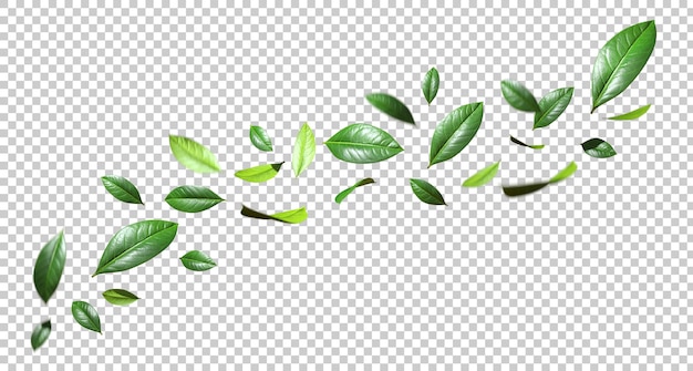 PSD folhas de vegetação movimento flutuante recorte dinâmico fundos transparentes renderização 3d png