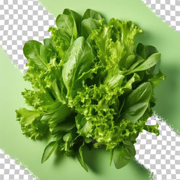 PSD folhas frescas de alface verde isoladas em um close-up de fundo transparente dieta vegetariana amigável saudável baixa caloria