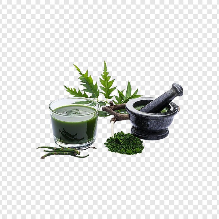 PSD folhas medicinais de neem em argamassa e pestilha com pasta de neem