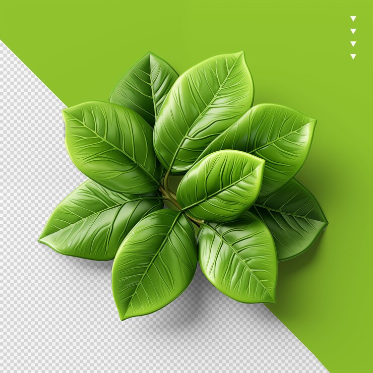 PSD folhas verdes 3d para composições