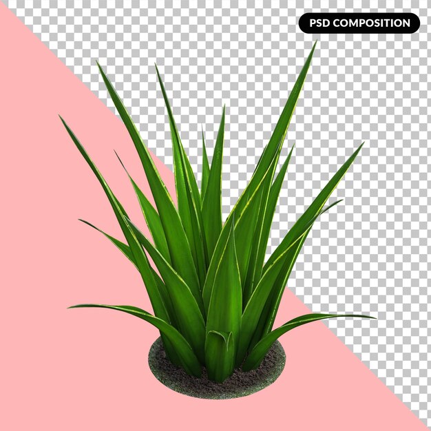 Folhas verdes renderização em 3d isolado psd premium