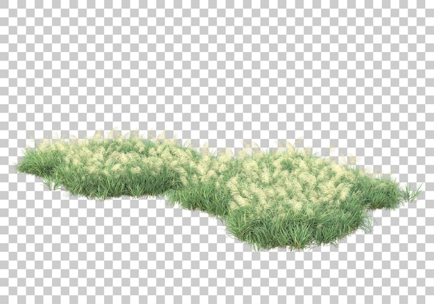Foliage area on transparent background 3d rendering illustration