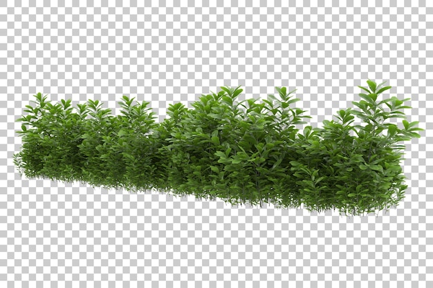 Foliage with transparent background 3d rendering illustration