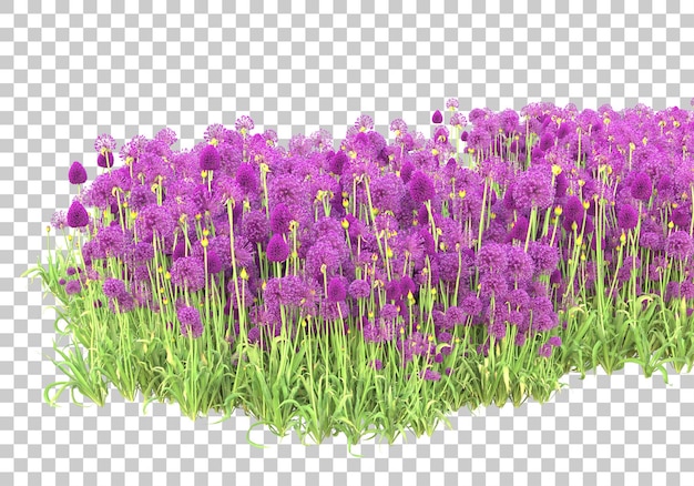 Follaje en la ilustración de renderizado 3d de fondo transparente