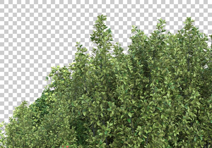 PSD follaje con ilustración de renderizado 3d de fondo transparente