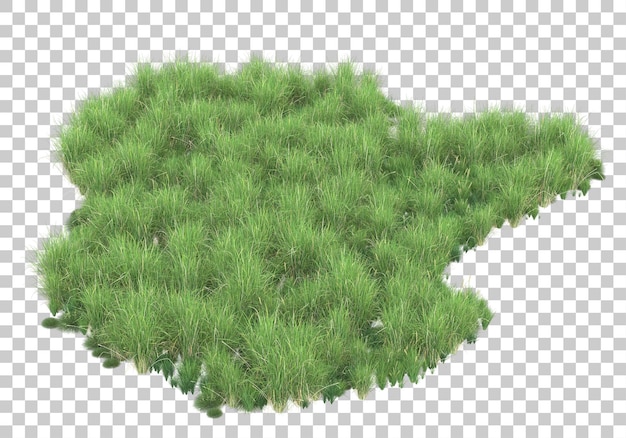 Follaje de verano en la ilustración de renderizado 3d de fondo transparente
