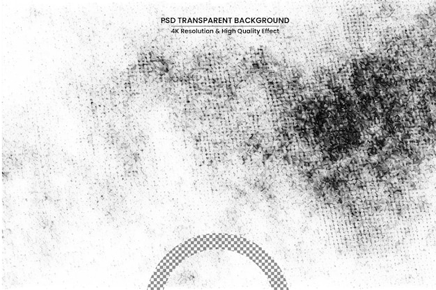 Fond abstrait Texture monochrome L'image inclut un effet de tons noir et blanc
