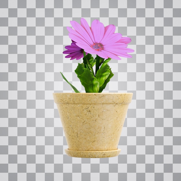 PSD fond alpha de fleur de pot stylisé 3d