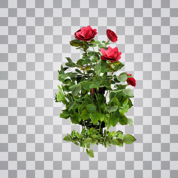 PSD fond alpha plante rose rouge