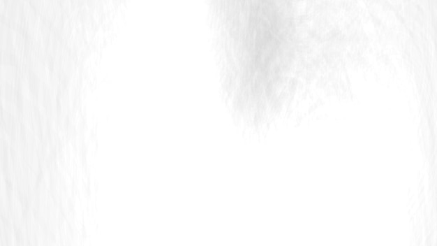 un fond blanc avec un fond blanc et un fond blanc