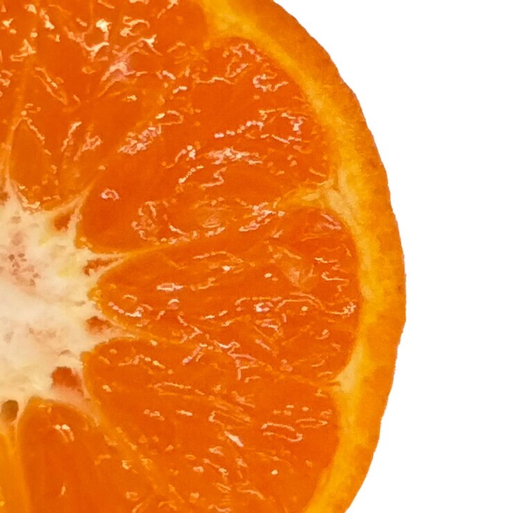 PSD sur un fond blanc orange