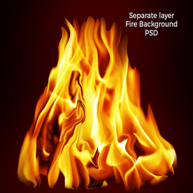 PSD fond de feu