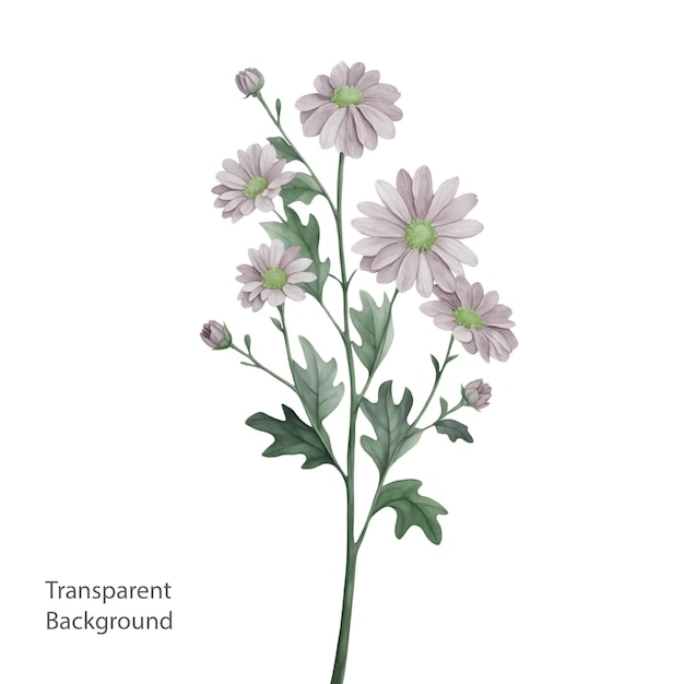 PSD fond de fleur transparent psd