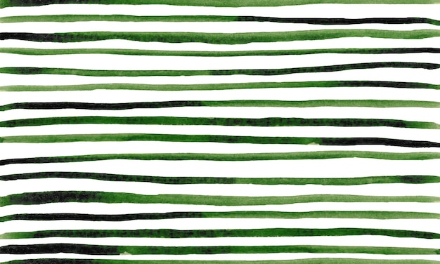 fond horizontal de lignes d'aquarelle vertes sur blanc