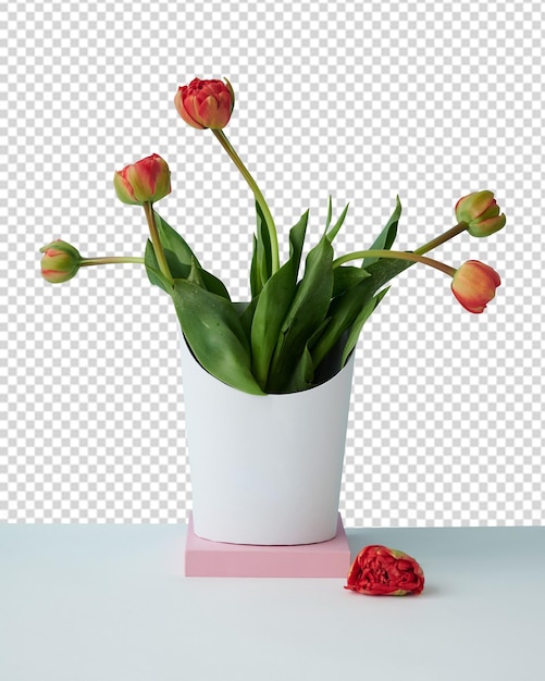 PSD fond de pot de fleur png