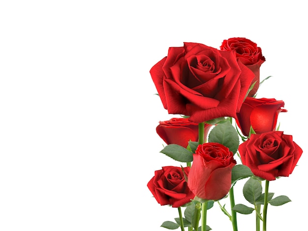 PSD fond rose rouge transparent