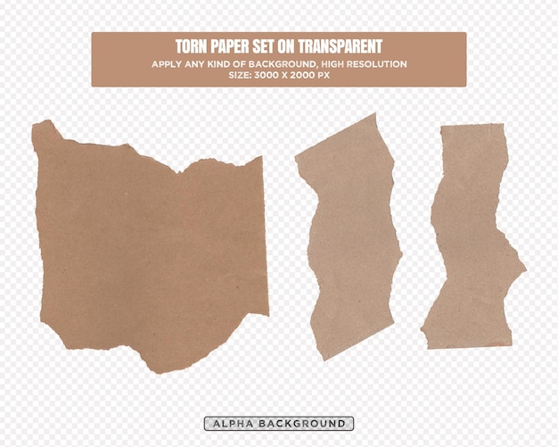 PSD fond transparent en papier déchiré pour la collection de papier découpé