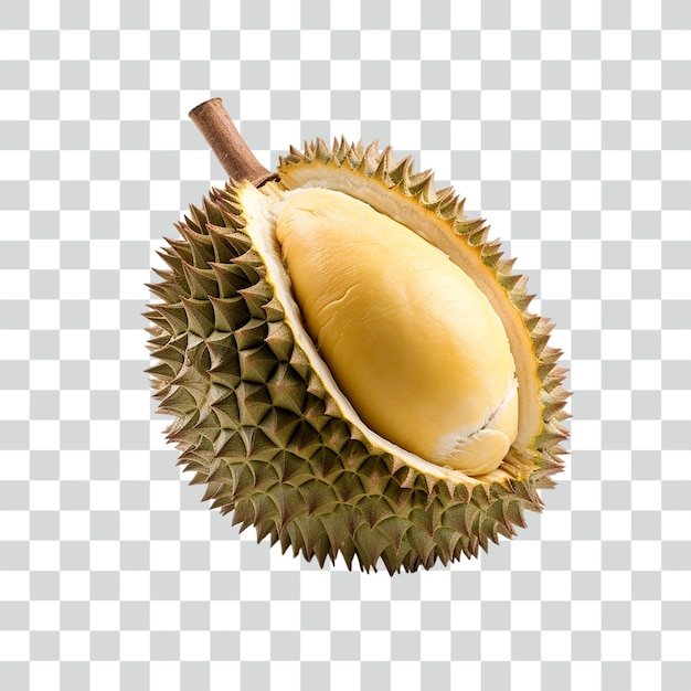 Fond transparent psd durian