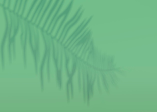 PSD fondo abstracto de hojas de palmera de sombras en una pared. representación 3d.