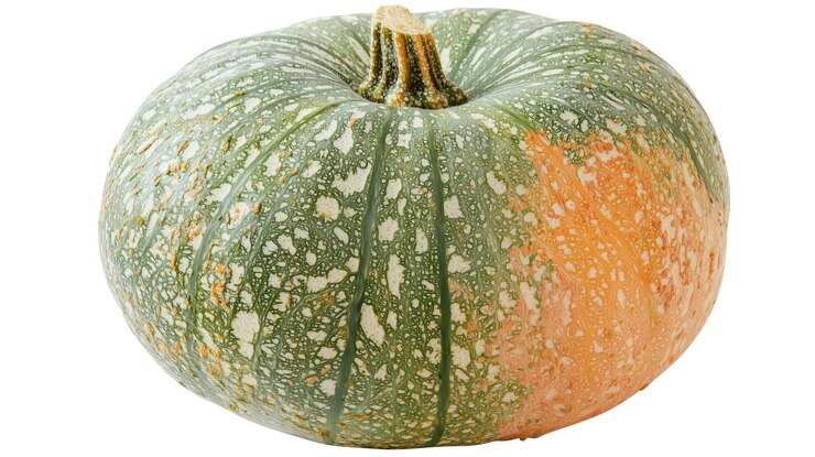 PSD fondo aislado de calabaza madura ia generativa